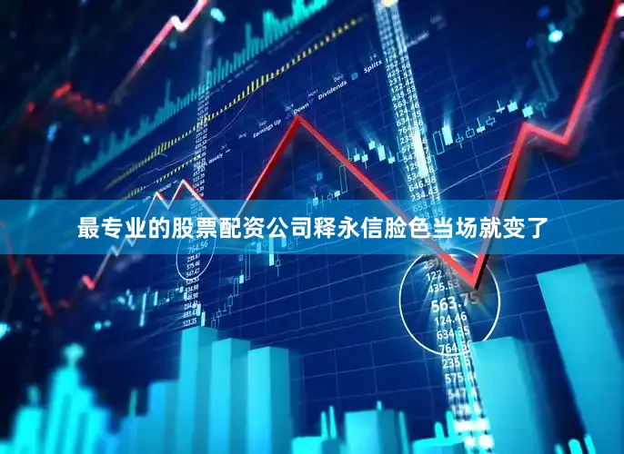 最专业的股票配资公司释永信脸色当场就变了
