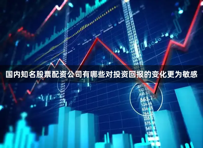 国内知名股票配资公司有哪些对投资回报的变化更为敏感